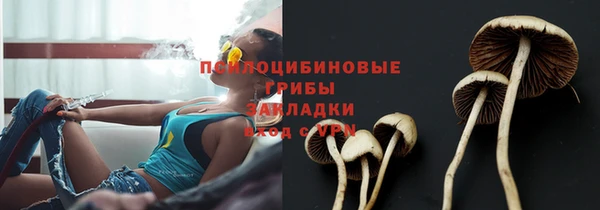 мяу мяу мука Инсар