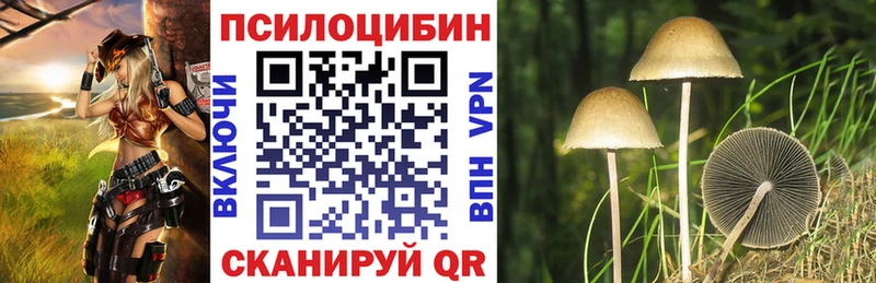 Псилоцибиновые грибы Psilocybe  Пересвет 